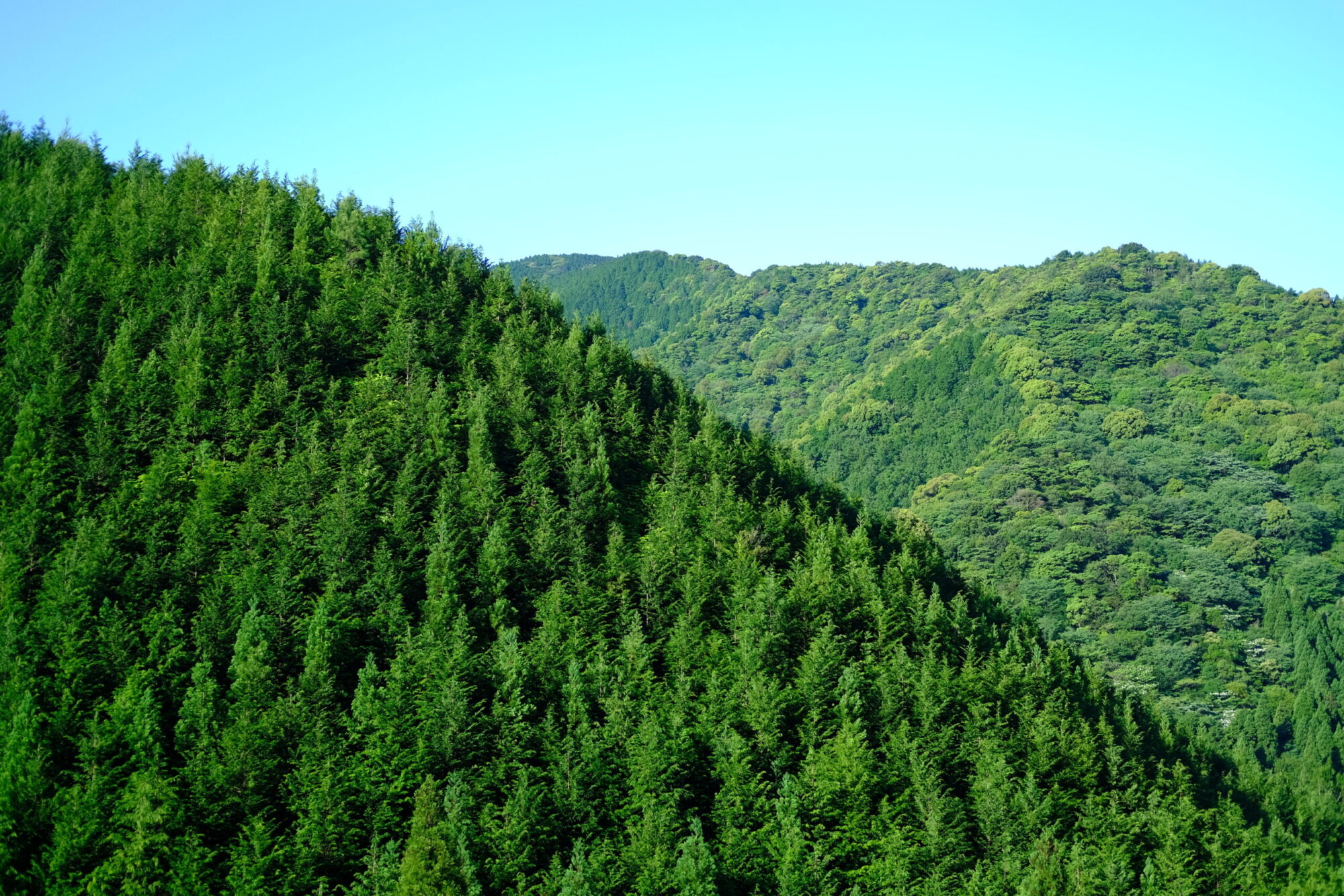 九州の山